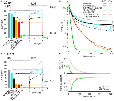 EGTA Can Inhibit Vesicular Release in the Nanodomain of Single Ca2+ Channels